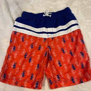 Lands End swim trunks.